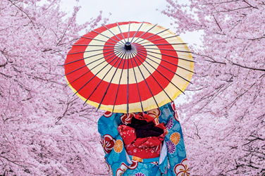 Faut-il investir en (fonds) d’actions du Japon ou en obligations en yen ?